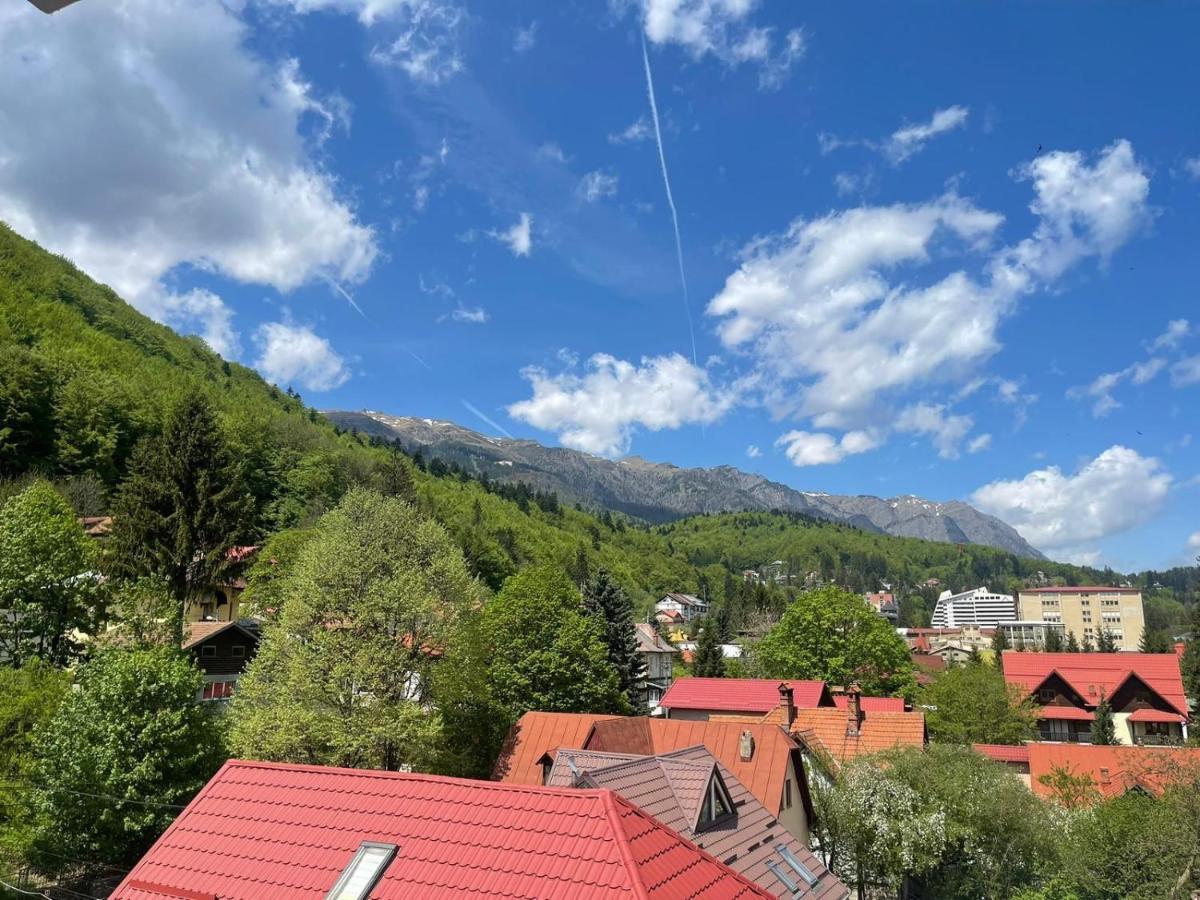 Apartament Mountain View Sinaia Zewnętrze zdjęcie