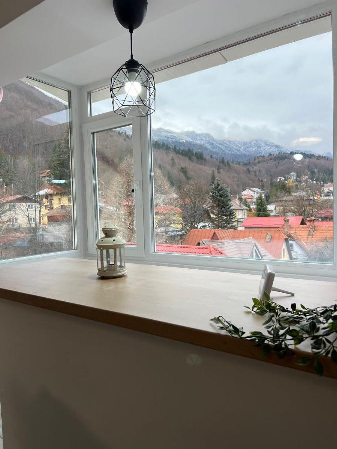 Apartament Mountain View Sinaia Zewnętrze zdjęcie
