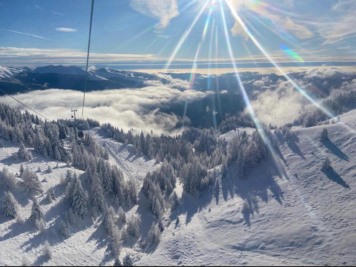 Apartament Mountain View Sinaia Zewnętrze zdjęcie