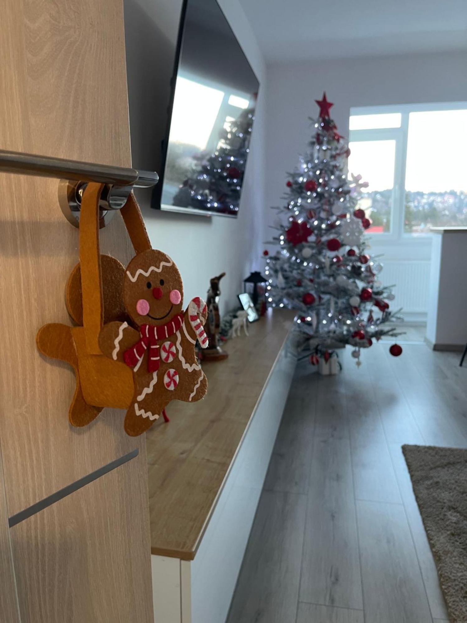 Apartament Mountain View Sinaia Zewnętrze zdjęcie